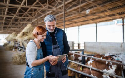 Adapting to market conditions