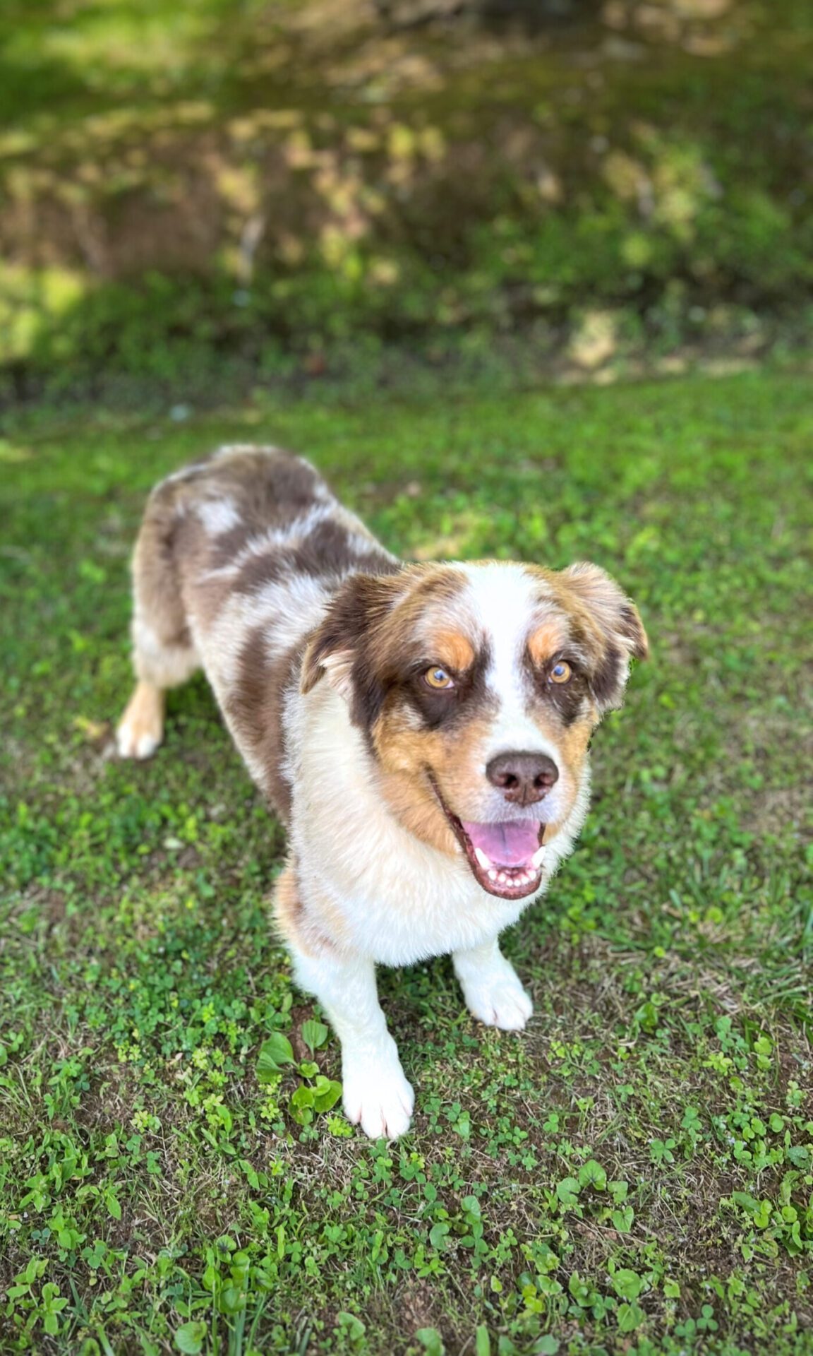 kerri